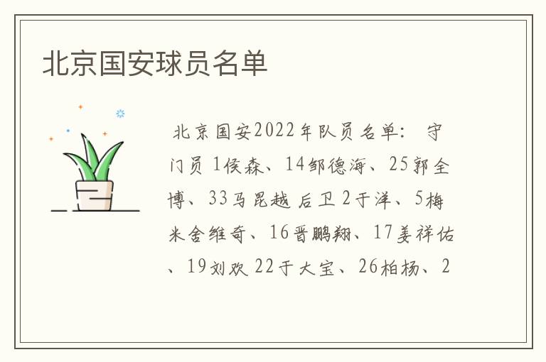 北京国安球员名单