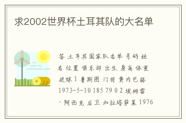 求2002世界杯土耳其队的大名单