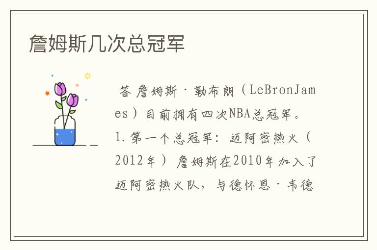 詹姆斯几次总冠军
