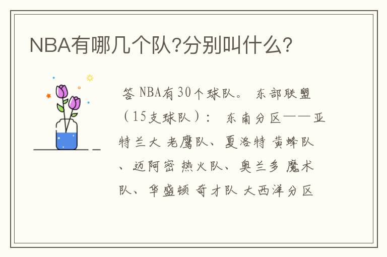 NBA有哪几个队?分别叫什么?