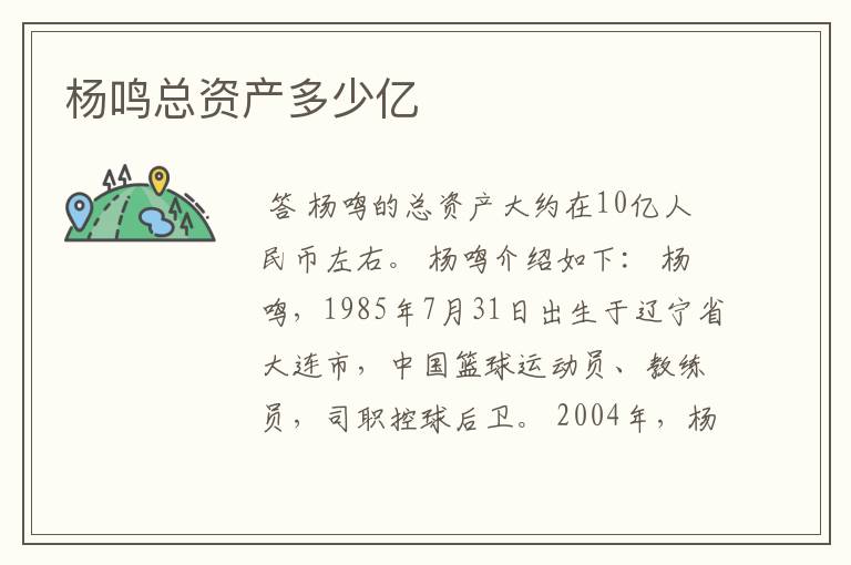 杨鸣总资产多少亿