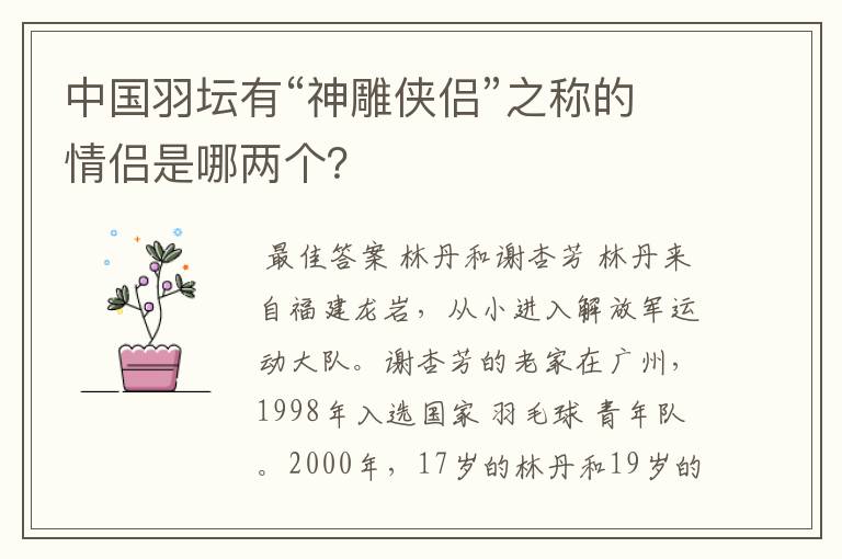 中国羽坛有“神雕侠侣”之称的情侣是哪两个?