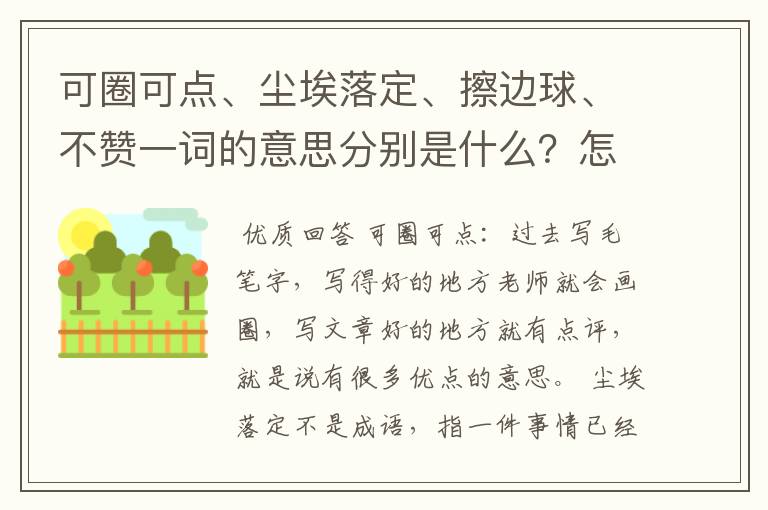 可圈可点、尘埃落定、擦边球、不赞一词的意思分别是什么?怎么用?