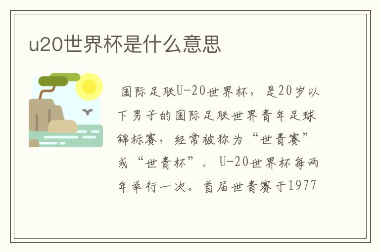 u20世界杯是什么意思