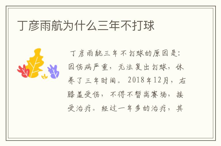 丁彦雨航为什么三年不打球