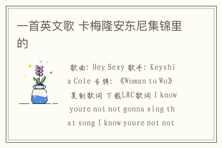 一首英文歌 卡梅隆安东尼集锦里的
