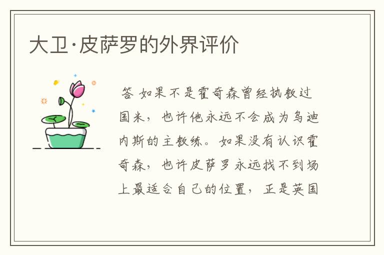 大卫·皮萨罗的外界评价
