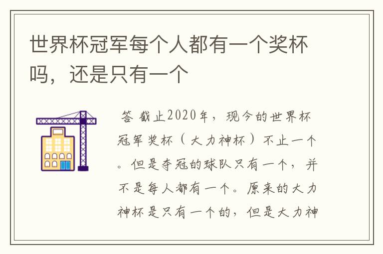 世界杯冠军每个人都有一个奖杯吗,还是只有一个