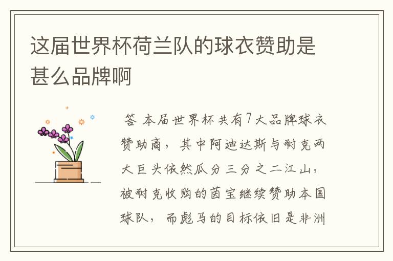 这届世界杯荷兰队的球衣赞助是甚么品牌啊