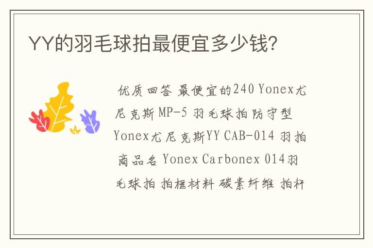 YY的羽毛球拍最便宜多少钱?