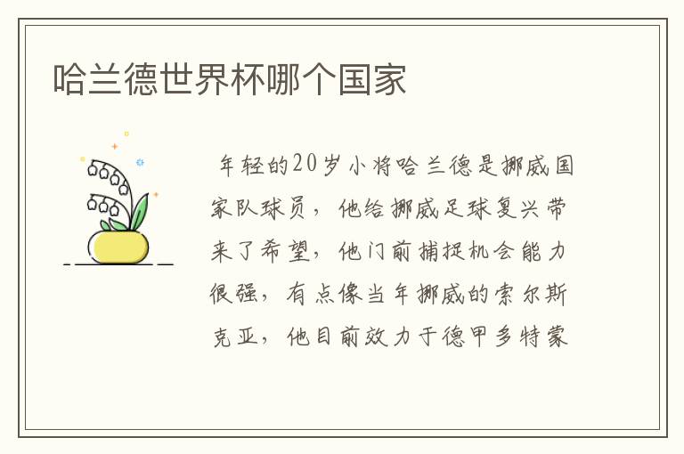 哈兰德世界杯哪个国家