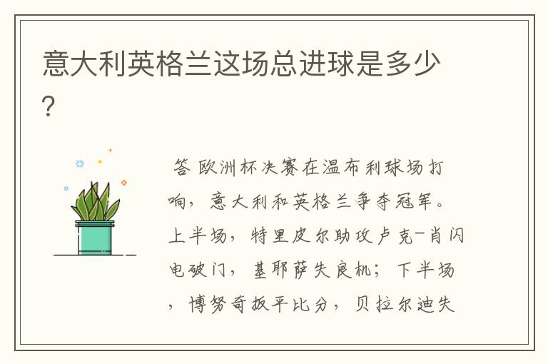 意大利英格兰这场总进球是多少？
