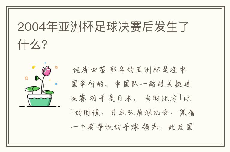 2004年亚洲杯足球决赛后发生了什么?