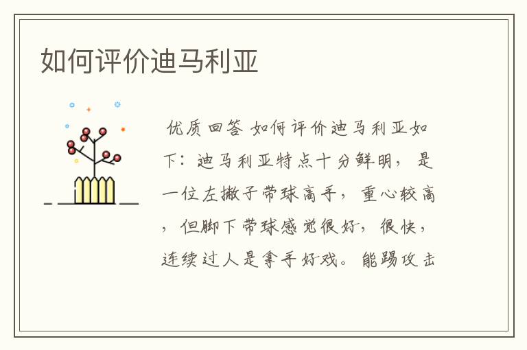 如何评价迪马利亚