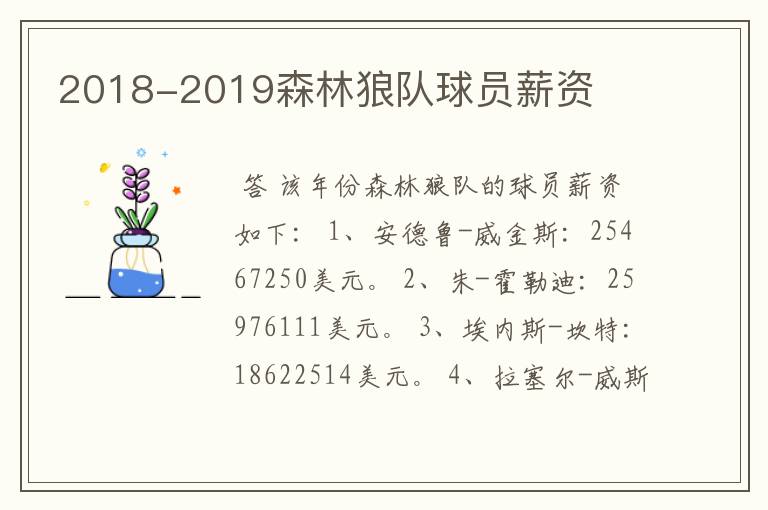 2018-2019森林狼队球员薪资