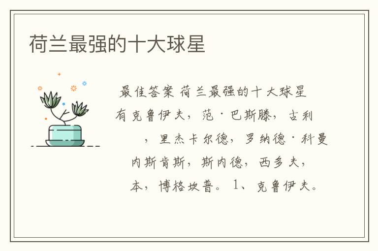 荷兰最强的十大球星