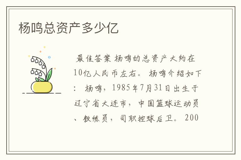 杨鸣总资产多少亿