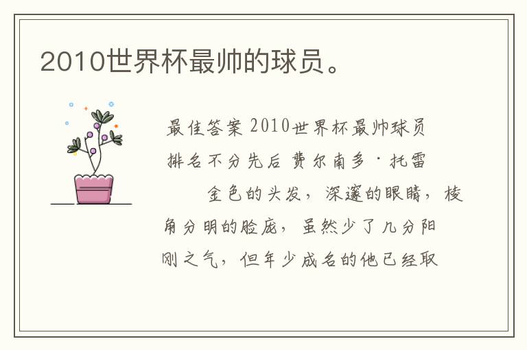 2010世界杯最帅的球员。
