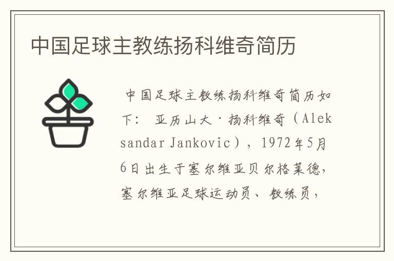 中国足球主教练扬科维奇简历