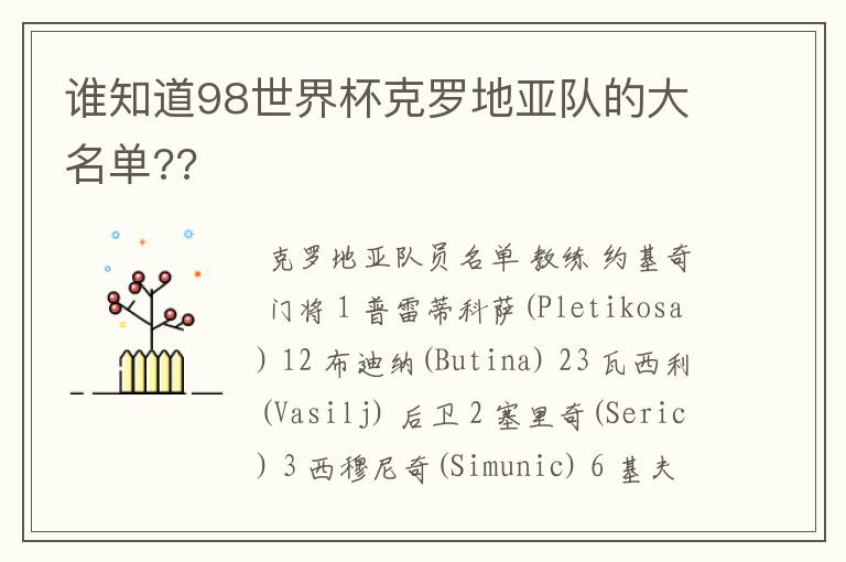谁知道98世界杯克罗地亚队的大名单??
