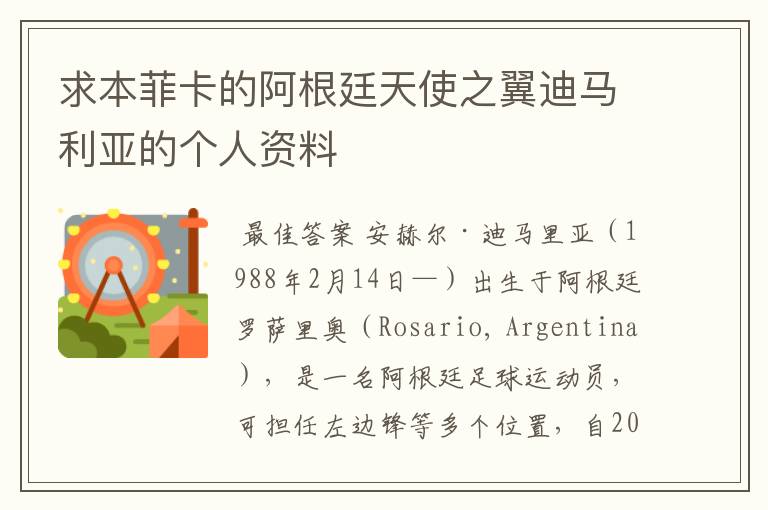 求本菲卡的阿根廷天使之翼迪马利亚的个人资料
