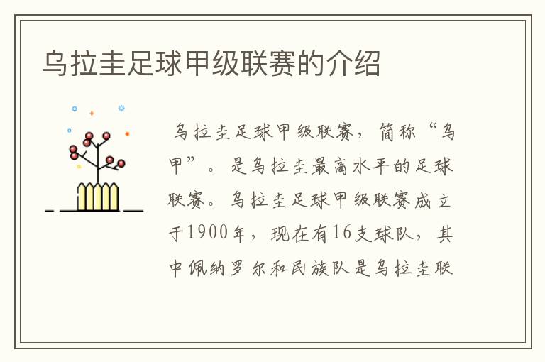乌拉圭足球甲级联赛的介绍