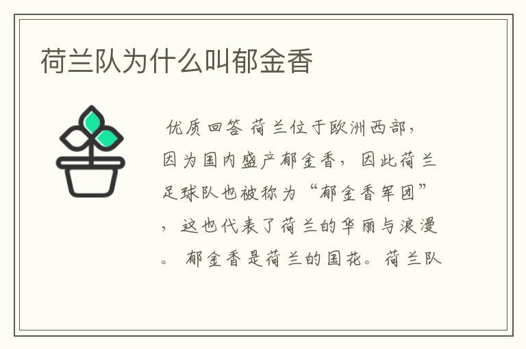 荷兰队为什么叫郁金香