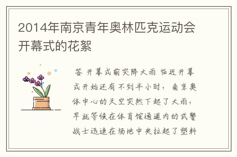 2014年南京青年奥林匹克运动会开幕式的花絮
