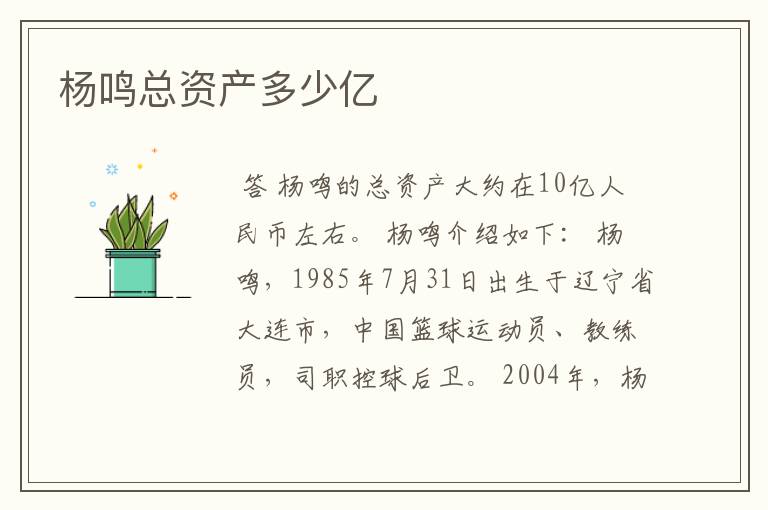杨鸣总资产多少亿