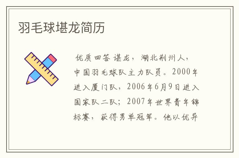 羽毛球堪龙简历