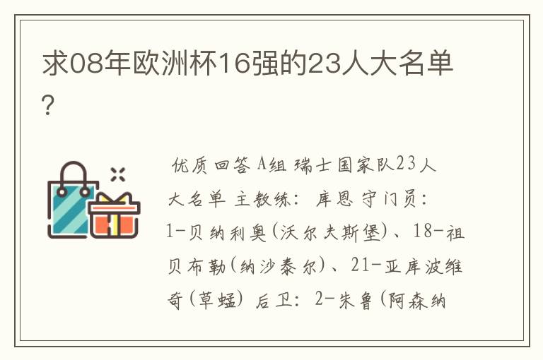 求08年欧洲杯16强的23人大名单?