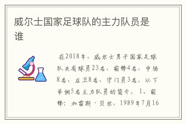 威尔士国家足球队的主力队员是谁