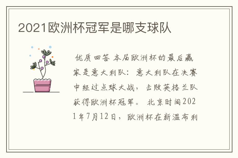 2021欧洲杯冠军是哪支球队