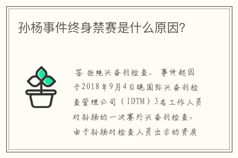 孙杨事件终身禁赛是什么原因?