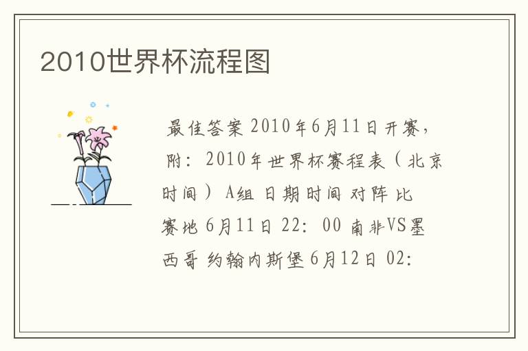 2010世界杯流程图