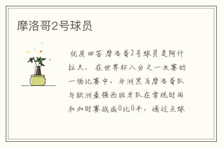 摩洛哥2号球员