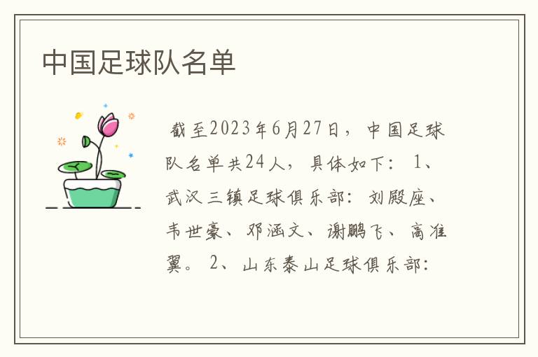 中国足球队名单