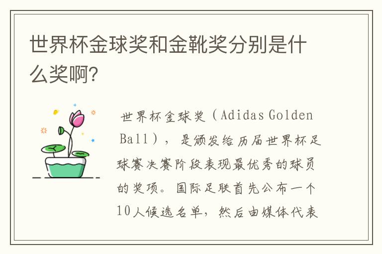世界杯金球奖和金靴奖分别是什么奖啊?