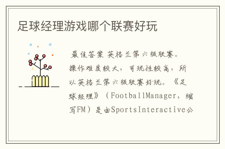 足球经理游戏哪个联赛好玩