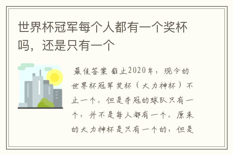 世界杯冠军每个人都有一个奖杯吗，还是只有一个
