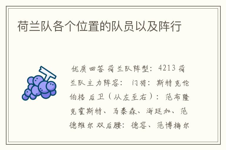 荷兰队各个位置的队员以及阵行