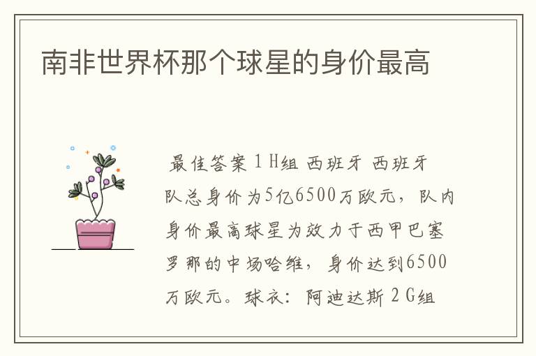 南非世界杯那个球星的身价最高