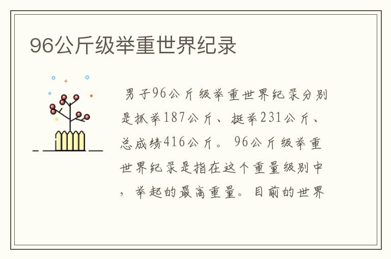 96公斤级举重世界纪录