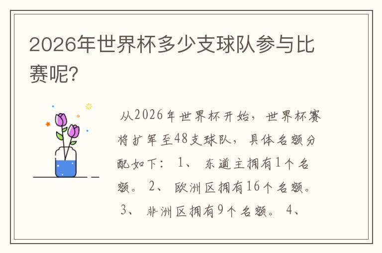 2026年世界杯多少支球队参与比赛呢?