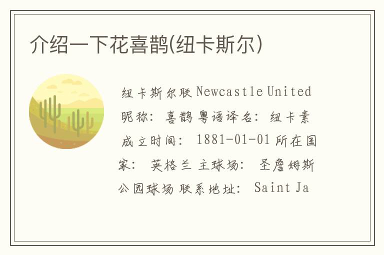 介绍一下花喜鹊(纽卡斯尔）