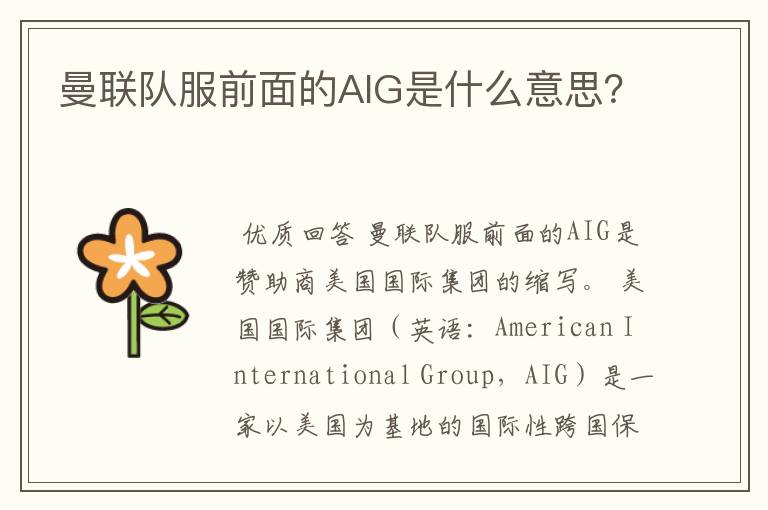 曼联队服前面的AIG是什么意思?