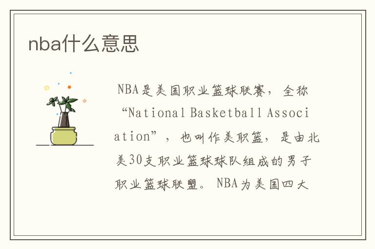 nba什么意思