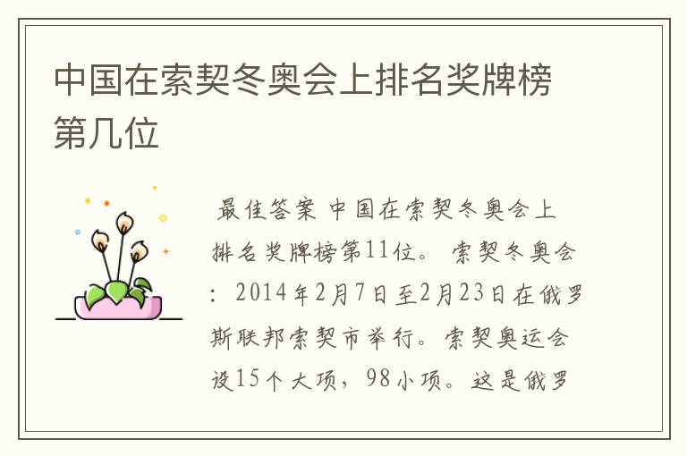 中国在索契冬奥会上排名奖牌榜第几位