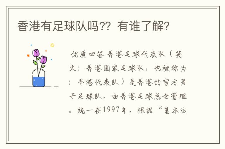 香港有足球队吗??有谁了解?