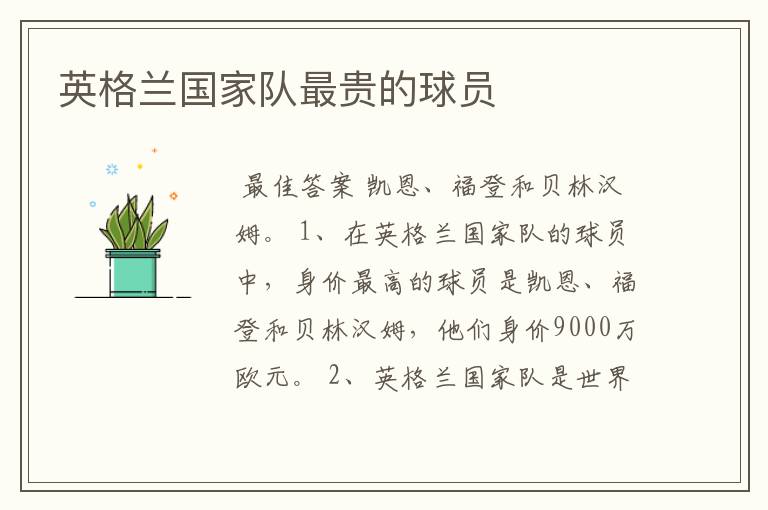 英格兰国家队最贵的球员